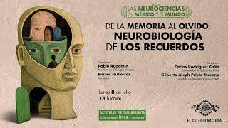 De la memoria al olvido: neurobiología de los recuerdos