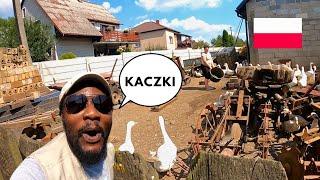 Polish Villagers Did Not Expect This Foreigner's Reaction In Mętków