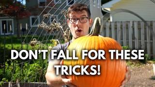 Are These Fall Garden Tips TRICKS or TREATS?