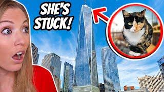 I SAVED My Cat From WORLD'S TALLEST Building!