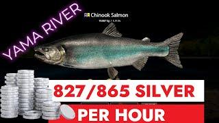 RUSSIAN FISHING 4 - YAMA RIVER - 865 SILVER IN 1 HOUR