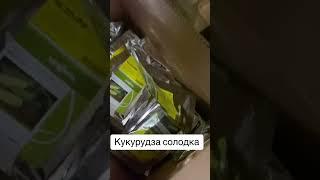 22 июня 2025 г.