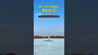 지금 당장 가야할 제주 동쪽 명소 best5️ #제주여행 #제주도 #제주
