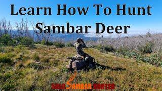 Learn To Hunt Sambar Deer Day Course - Solo Sambar Hunter