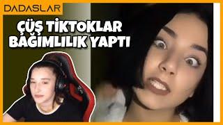 Pqueen - TikTok Videoları İzliyor !