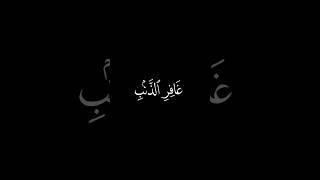 كروما شاشة سوداء قرآن كريم | تلاوة من سورة غافر رقم الآية ٣ | الشيخ محمد صديق المنشاوي - رحمه الله