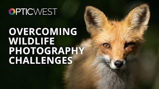 The Challenges and Joys of Wildlife Photography | Melissa Groo | B&H OPTIC West