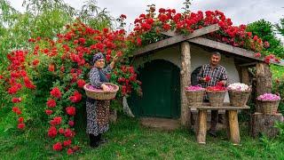  Traditional Rose Jam: Homemade Recipe from Fresh Roses