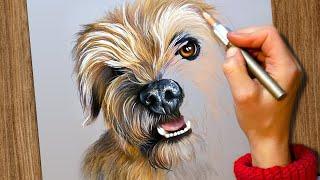 How to Draw a Dog  Pastel Pet Portrait Tutorial