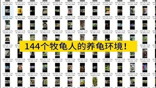 144位牧龟人的顶级养龟环境！值得学习借鉴！