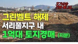 그린벨트 해제 서리풀지구 내 1억대 토지경매