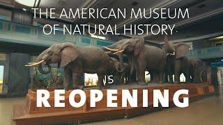 The American Museum of Natural History is Now Open!