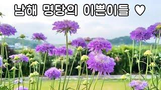 Flower Garden South Korea, Flower Garden Tour