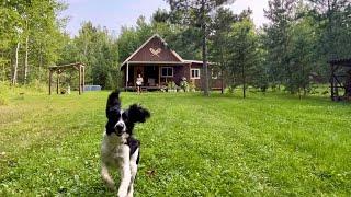 Simple Minnesota Homesteading: Permits, Building The Kitchen In The Addition