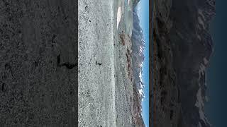 Walking over glacier bed. 100 years ago this would have been just ice! #nature #glacier #drone #dji