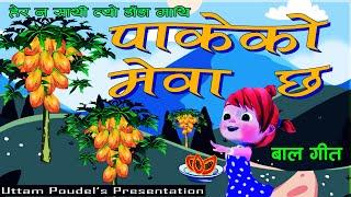 Pakeko Mewa Chha • Children Song • Hera Na Sathi Tyo Dada Mathi • बाल गीत • School Kids' Rhyme