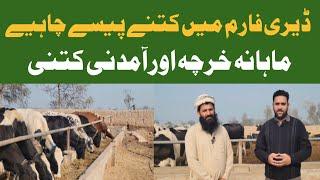 How to Start Dairy Farm |Dairy Farm Business Buffalo|Dairy Farm Business in Punjab