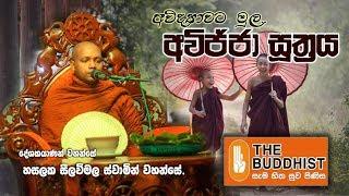 අවිද්‍යාවට මුල, අවිජ්ජා  සූත්‍රය (avijja sutta) HASALAKA SEELAWIMALA THERO