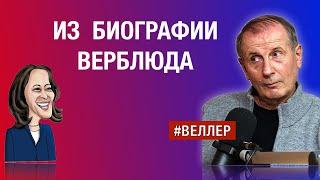 ИЗ БИОГРАФИИ ХОХОЧУЩЕГО ВЕРБЛЮДА: ГРЯЗНЫЕ СТУПЕНИ РОСТА #веллер 27 07 2024