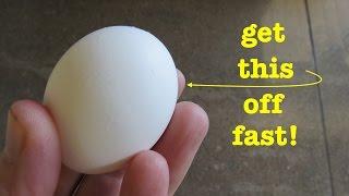 The Easiest Way To Peel an Egg ( that actually works ! )