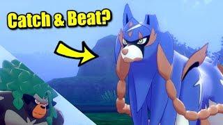 Can You Beat or Catch the Legendary at the Beginning of Pokémon Sword & Shield?