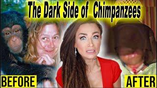 Travis the Chimp | Charla Nash | Sandra Herold | The Dark Side of Chimpanzees