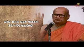 මස් මාංශ අනුභවය පිලිබඳ අපූරු විග්‍රහයක් | Kirinde Dhammananda Nayaka Thera