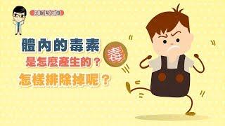 【邱醫幫你瘦】體內的毒素是怎麼產生的，怎樣排除掉呢？