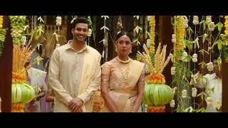 War Kabir And khalid Wedding Party Entry Scene (Please Subscribe My Channel)