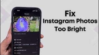 Instagram Photos Too Bright  on iPhone Fix