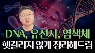 이 영상을 보면 'DNA, 유전자, 염색체, 유전체'를 이해한다?!