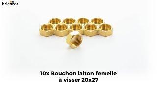 VIDÉO 360° - Bouchon laiton femelle à visser 20x27 - sachet de 10 BRICOZOR