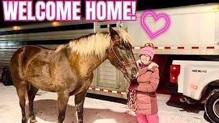 My New Horse Is Coming Home Tonight!