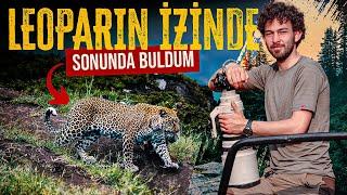 TÜRKİYE'DE ANADOLU PARSI'NI BULMAK! (DÜNYA'NIN EN BÜYÜK LEOPAR ALT TÜRÜ)