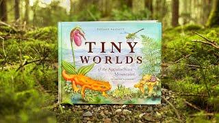 Book Reveal: "Tiny Worlds of the Appalachian Mountains" by Rosalie Haizlett