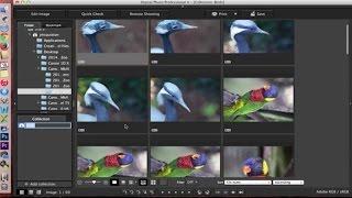 Canon Digital Photo Professional (DPP) 4: Managing Files