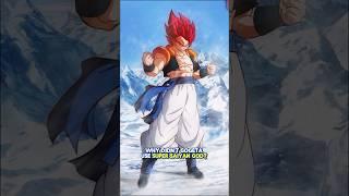 Why did Gogeta never use Super Saiyan God?!