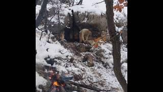 Winter Camping in Stone Shelter on Mountain Top