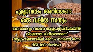 ഇത് കഴിച്ചാൽ പിന്നെ രോഗിയാക്കും എന്ന ഭയം വേണ്ട| Flaxseed  മലയാളത്തിൽ ചണവിത്ത് എന്നു പറയും