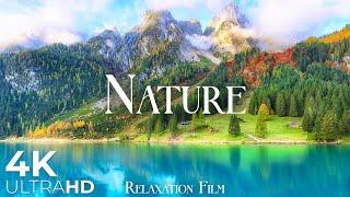 Nature Relaxation Film 4K - Beautiful Relaxing Music - Video Ultra HD