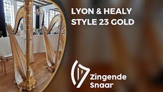 Lyon & Healy style 23 gold