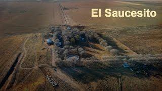 304 El Saucecito (San Luis) - Estancias y Tradiciones