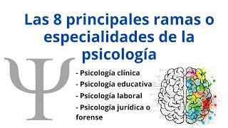 Las 8 principales ramas o especialidades de la psicología