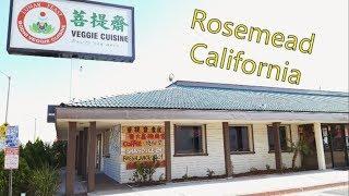 Chinease Vegetarian/Vegan restaurant review