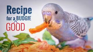 BUDGIE CARE: The Complete Guide to Happy & Healthy Parakeets