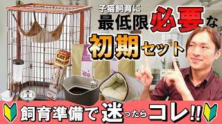 【初めて子猫を飼う時に絶対必要な用品はコレ！】お迎えに見て！猫専門ブリーダーが最低限必要な猫用品をご紹介します！