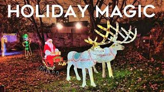 Holiday Magic Zoolights at Lincoln Park Zoo Chicago | Christmas Lights 2024 #zoolights