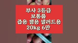 부사 3등급 보통품  10kg 4만 20kg 6만 빨리 문자주세요 010 5040 3080 즙용 잼용 샐러드용 식당용 저렴한 사과 부사가격