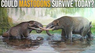 Could Mastodons Survive Nowadays?