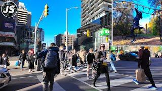 Midtown Toronto | Eglinton to Lawrence on Yonge Street (Nov 2024)